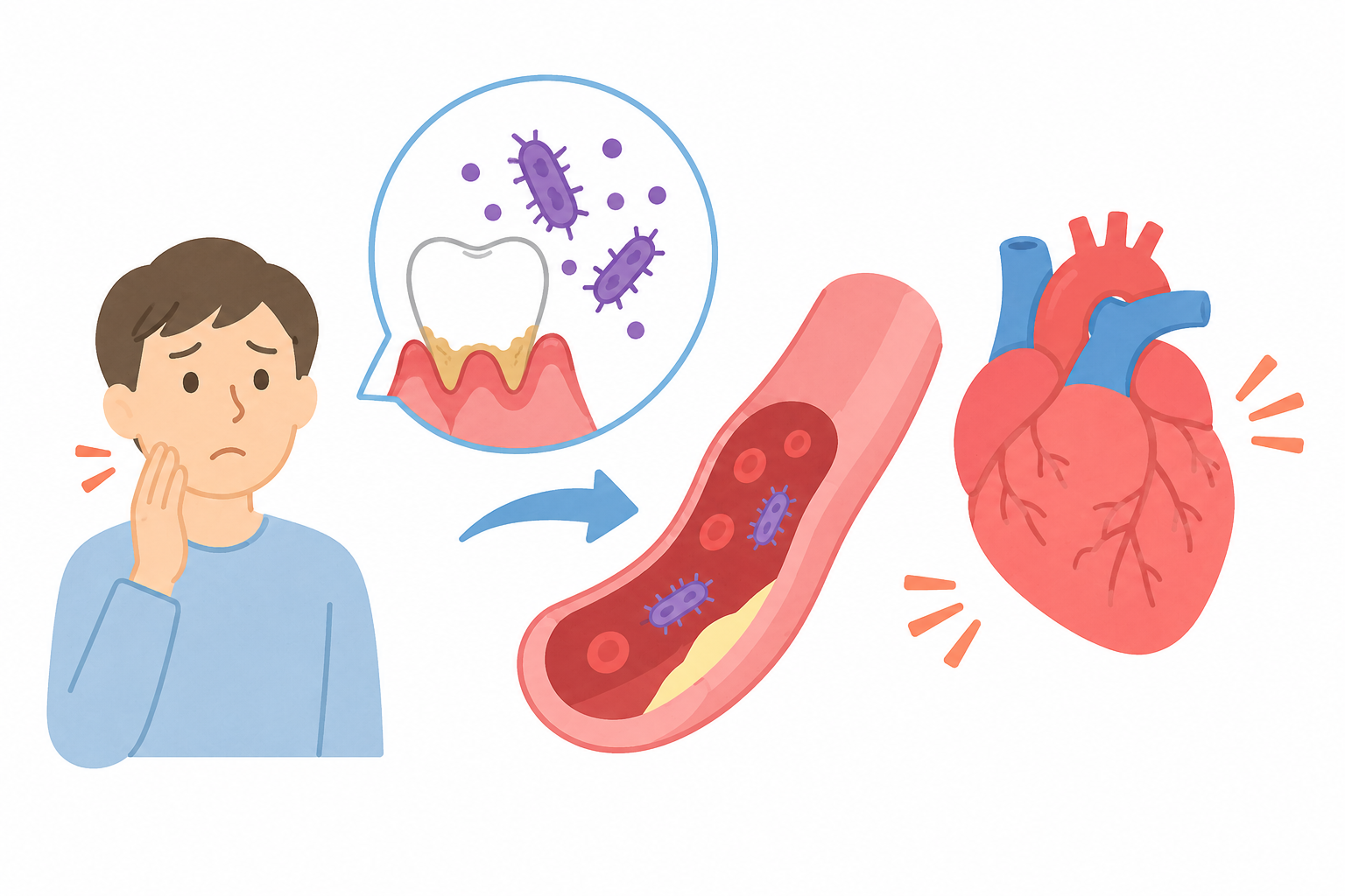 歯周病菌が心臓に影響？心疾患との関係